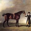 约瑟普·库克森先生的棕色小马“哈里爵士”，由马顿的彼得·蒂克尔爵士牵着，新郎抱着