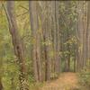 公园里的路