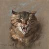 斑猫