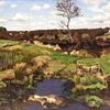 沼地泥炭耕作
