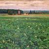俯瞰易北河平原
