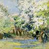 春天的森林