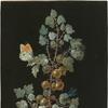 绘有醋栗枝、蜻蜓、橙尖粉蝶和毛虫的画作