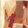 挪威国旗；基督教青年会会旗