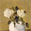 White Roses