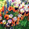 花园、鸢尾花和罂粟花
