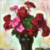 天竺葵