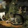 猫和两只小猫的静物生活