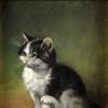 小猫