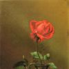 花瓶里的红玫瑰和向日葵
