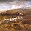 威尔士牧羊人