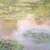 Water Lilies