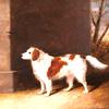 查尔斯·弗雷尔斯·汤森勋爵最喜欢的狗